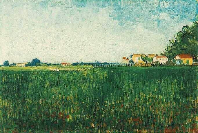 Vincent van Gogh Farmhouses in a Wheat Field Near Arles